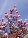 IMG-20240315-WA0004.webp
