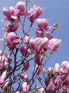 IMG-20240315-WA0005.webp