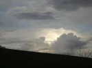 DSC01609.webp