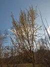 IMG_20240302_144733_HDR.webp