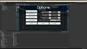 optionsMenue4.webp
