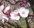 IMG_20240317_124725~2.webp