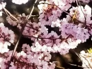 IMG_20240319_115456.webp