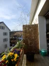 DSCN3546.webp
