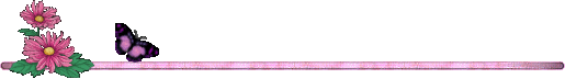 !1 a9 schmetterling mit blüte.gif