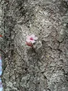 IMG-20240321-WA0001.webp