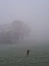 20240228_073833.webp