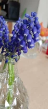 IMG_20240330_082759.webp