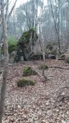 IMG-20240331-WA0008.webp