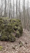 IMG-20240331-WA0013.webp