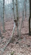 IMG-20240331-WA0011.webp