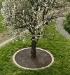 FullSizeRender.webp