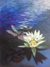 IMG_5254.jpeg