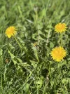 IMG_8115.jpeg
