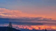 IMG_8121.jpeg