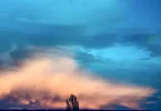 IMG_8120.jpeg