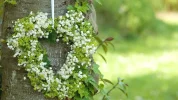 ! 1 a mai.webp