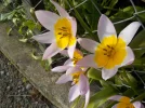 DSCN6145.webp