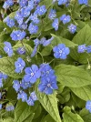 IMG_2259.webp