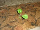 IMG_7496.JPG