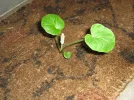 IMG_7502.webp