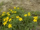 DSCN6153.JPG