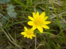 DSCN6155.JPG