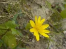 DSCN6157.JPG