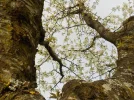DSCN6178.webp