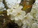 DSCN6179.webp