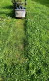 FullSizeRender.webp