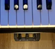 IMG_8129.jpeg