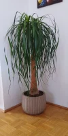 IMG-20240411-WA0006~2.webp