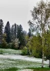 IMG_8130.webp