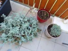 IMG_20240413_100523.webp