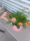 IMG_20240414_095417.webp