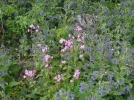 DSC01618.webp