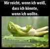 frosch.jpg