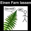 ! 1 a fa.webp