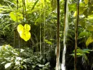 DSCN6185.webp