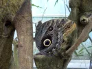 DSCN6186.webp