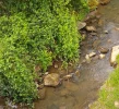 IMG_20240420_111754_HDR~2.webp