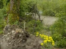DSCN6192.webp
