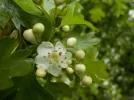 DSCN6214.webp