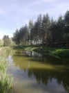 IMG-20240407-WA0009.webp