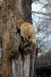 _IMGP3568k.webp