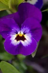_IMGP3433k.webp