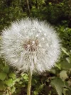 IMG_20240430_153905~2.webp