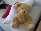 DSCN6226.webp