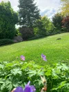 Garten.jpg